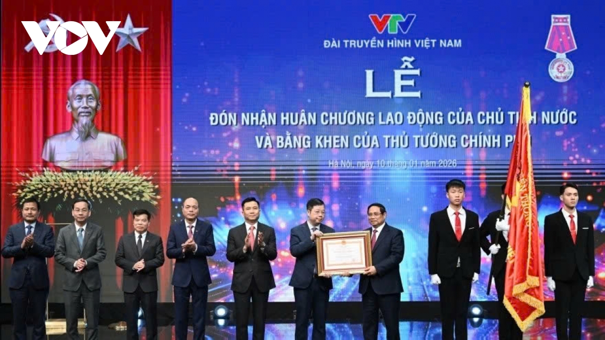 VTV told to elevate brand to regional prominence